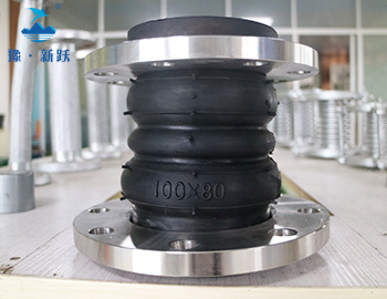 �p���w���������z���^